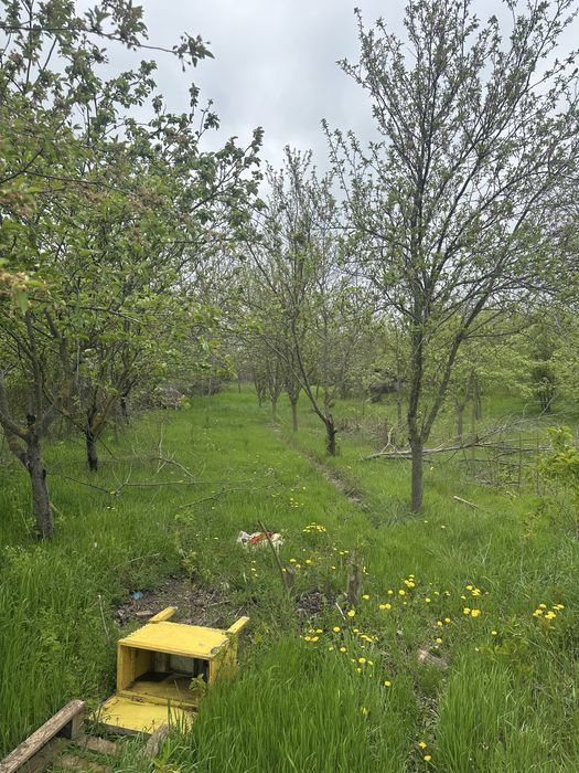 Продава се Къща в с. Нова Камена, Област Добрич - 250 кв.м за 180 €/кв.м - Снимка #2