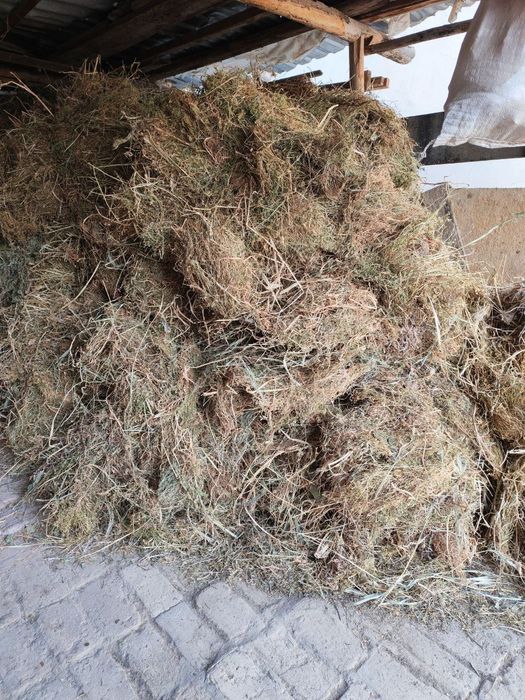 Хашак сотилади тайор богланган