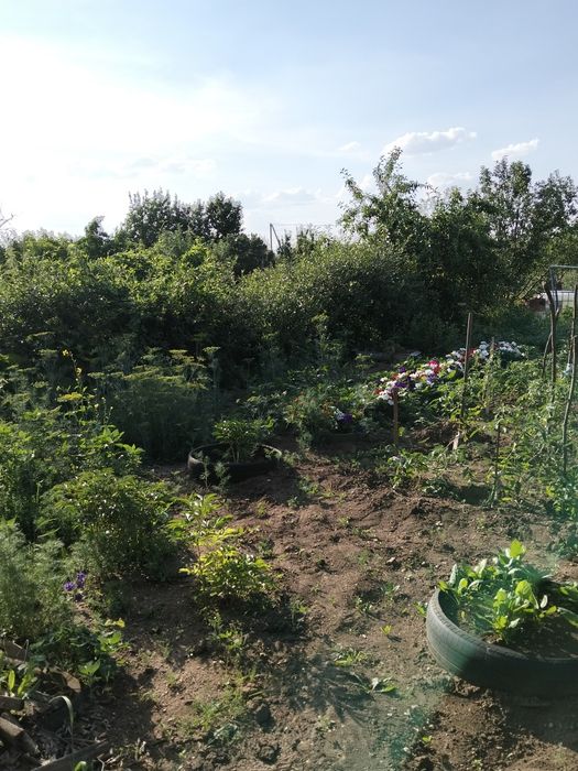 Продам дачу в городе.