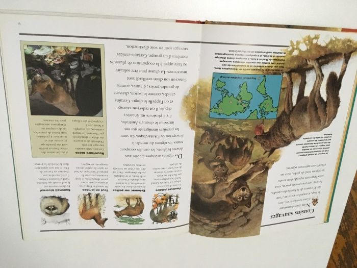 2 детски книжки на френски и английски език Les Chiens кучета