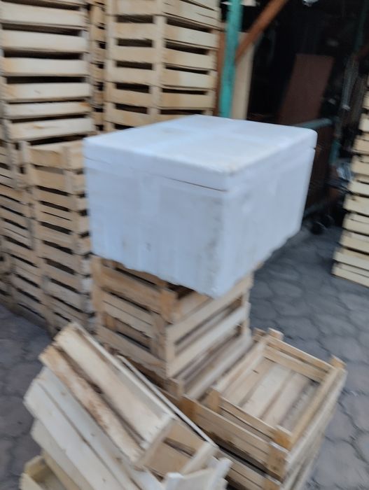 Продам ящики пенопласт