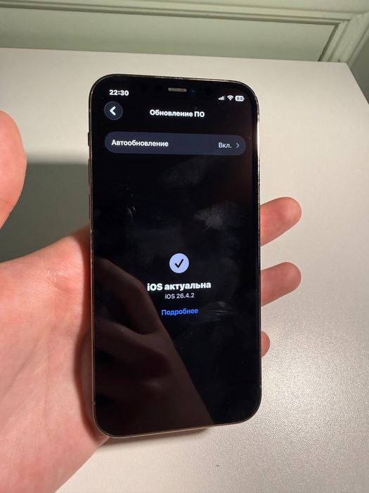 Iphone 12 pro 256 gb