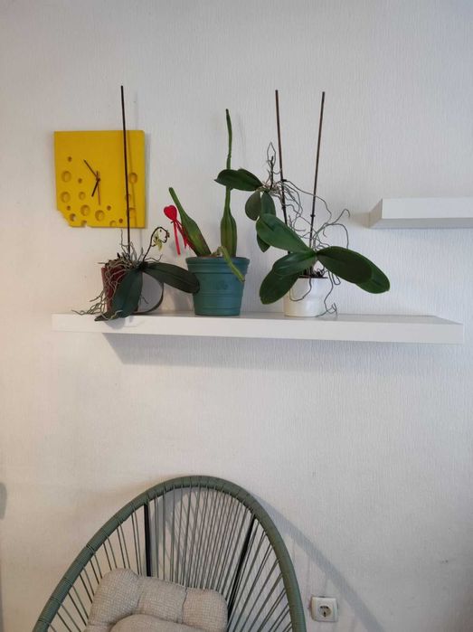 Комплект мебели IKEA Спешна разпродажба на символична цена! столове легло гардероб етажерки шкафче маса рафтове