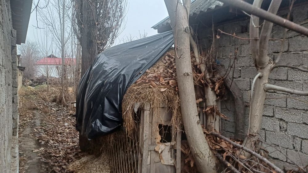 Беда 200+ бог' бор