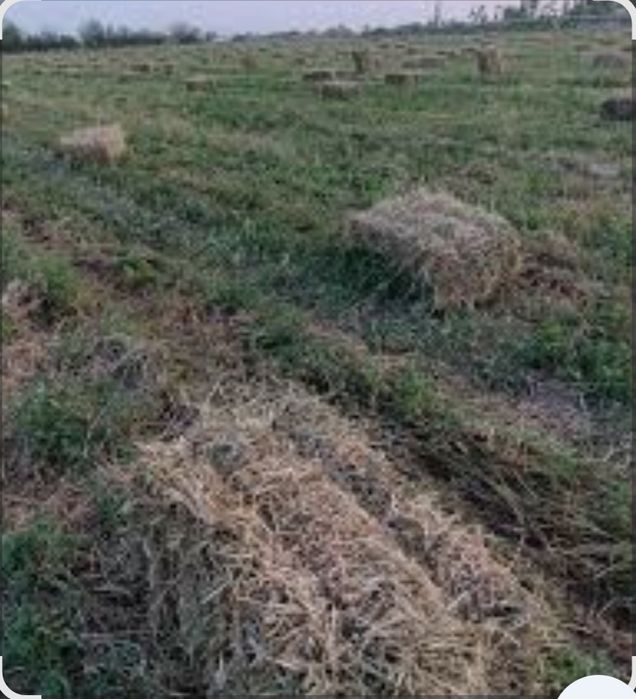 Beda press yo'rinjo kip sotilodi