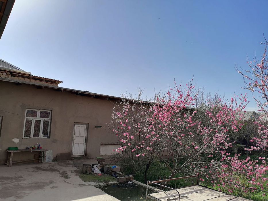 Гарантия участок