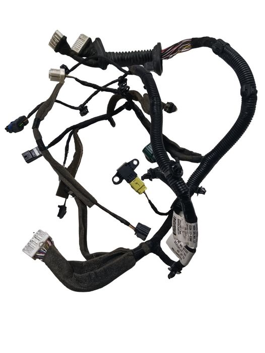 Instalatie Electrica Usa Stanga Fata Renault Koleos Ii 2016 - >