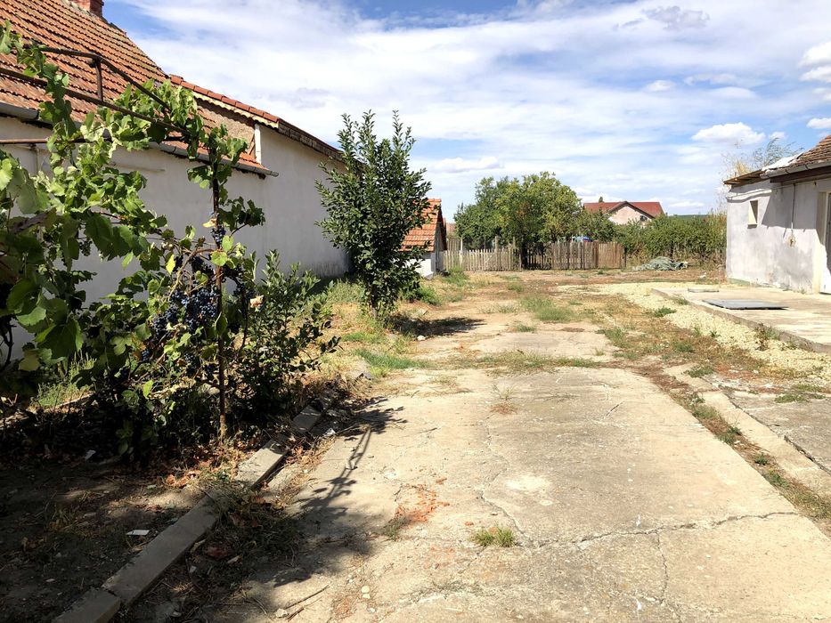 Vand casa si gradina mare in Recas, jud. Timis.