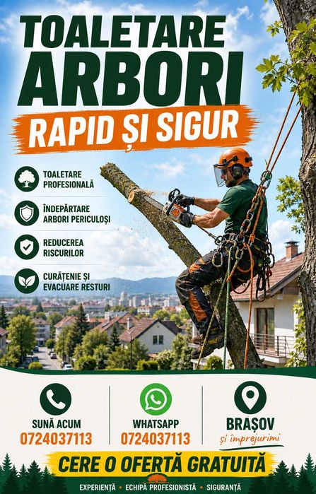Toaletare arbori: Rapid și sigur