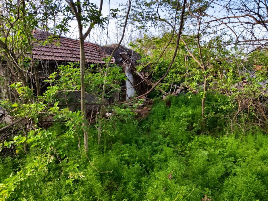 Къща с двор 1500кв.м