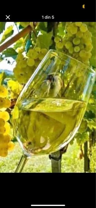 Vand strugurii de vin