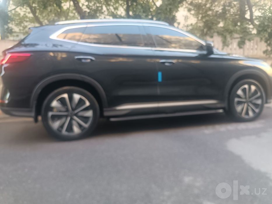 Byd champion ev 550 km