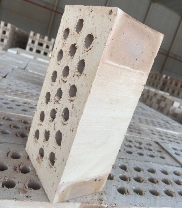 Кирпичи с гарантией долгих лет