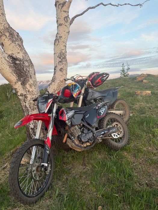 Zuumav 250 PR…..