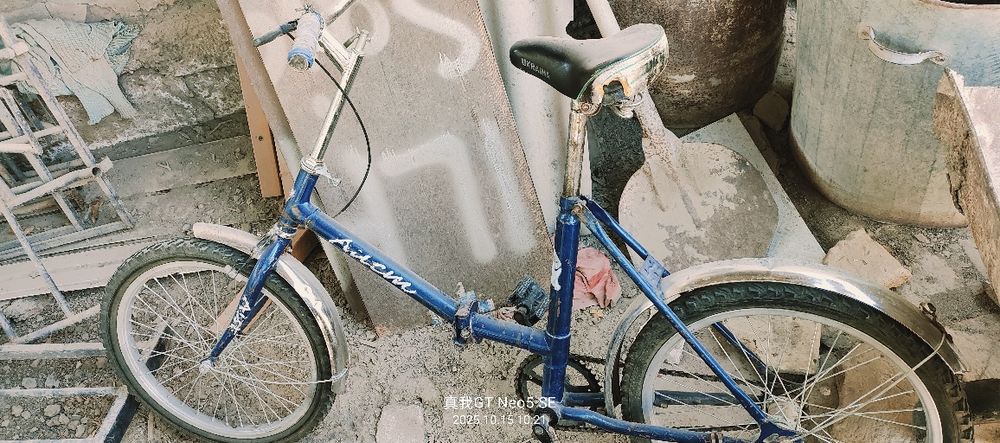 velosepet sotiladi aist