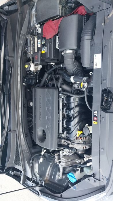 Продам  корейца  европейской  сборки