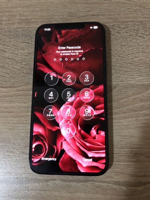 Iphone 12 pro max 256gb Blue