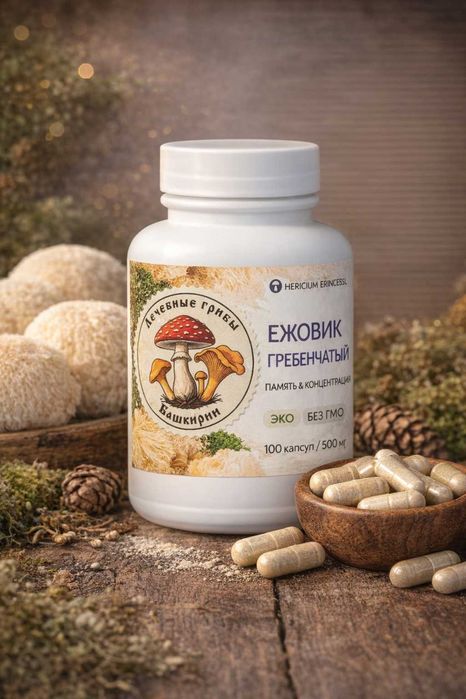 Ежовик фермы Башкирии | Мицелий, плоды, капсулы