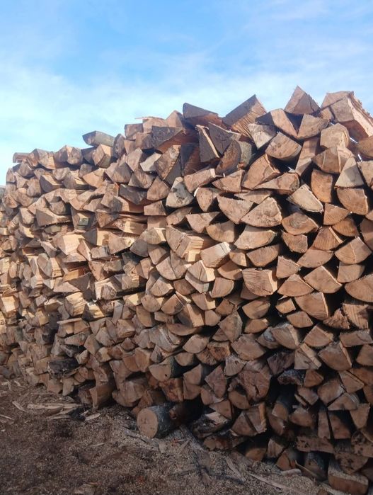 Lemne de foc esenta tare