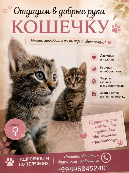 СРОЧНО! Ищем добрых и заботливых хозяев для девочки-котёнка