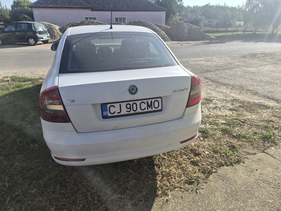 Vand Skoda Oktabia