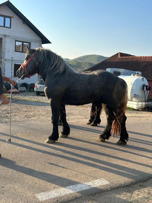 De vânzare sau schimb