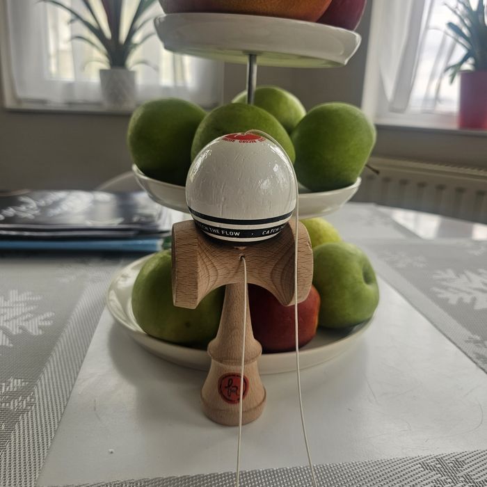 KENDAMA RECORD EUROPE  semnata XREMUS 200 lei negociabil