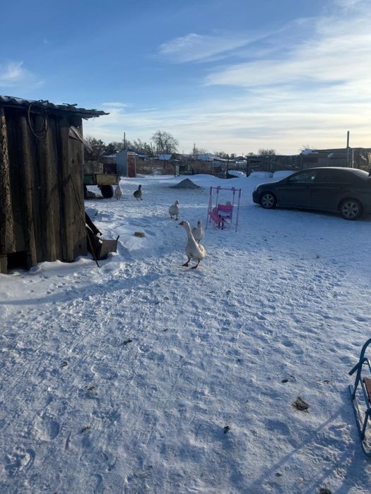 Продается частный дом