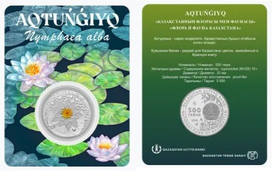 Кувшинка. Казахстан.