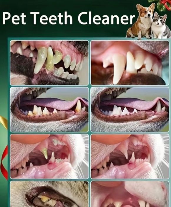 Aparat de curatare dentara pentru animale de companie