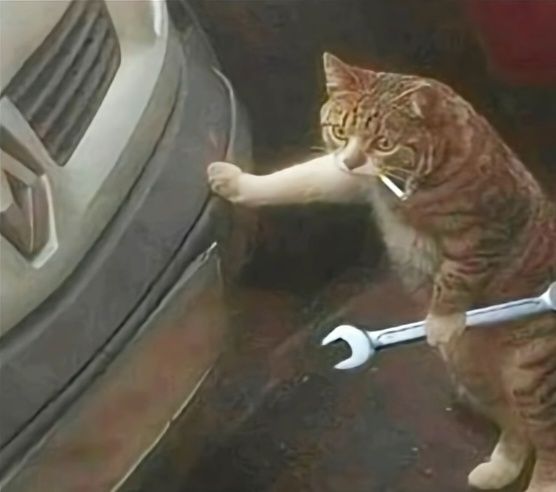 Автомеханик профессиональный