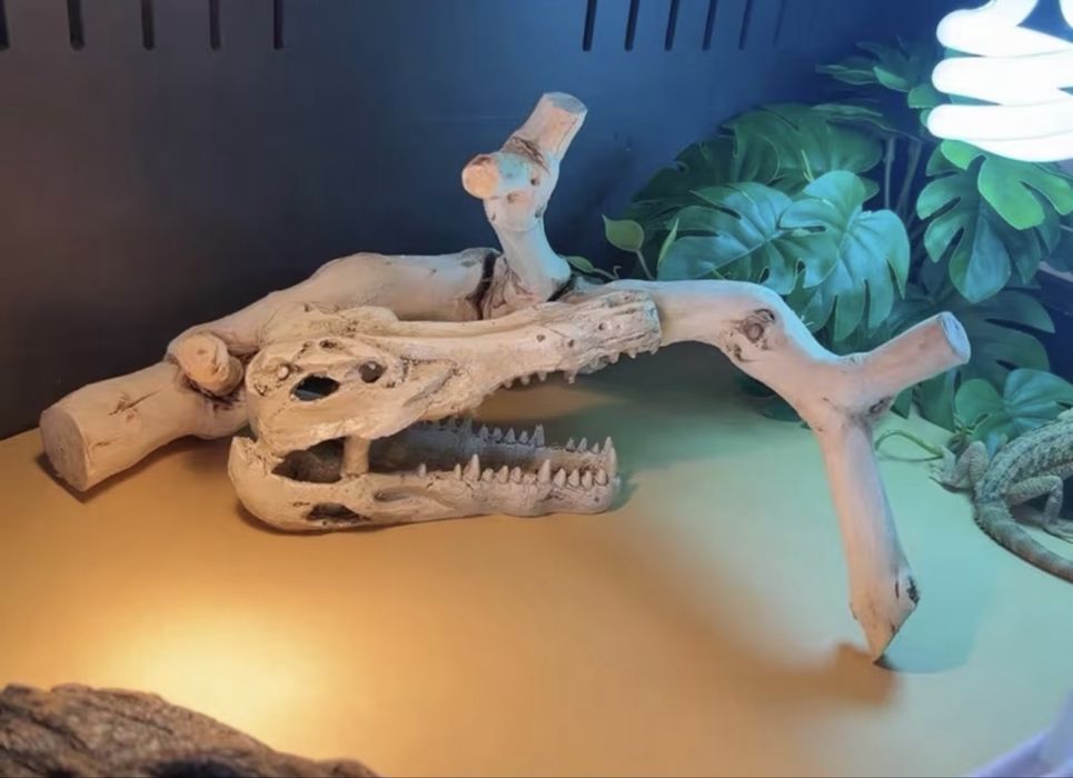 Коряги разных размеров