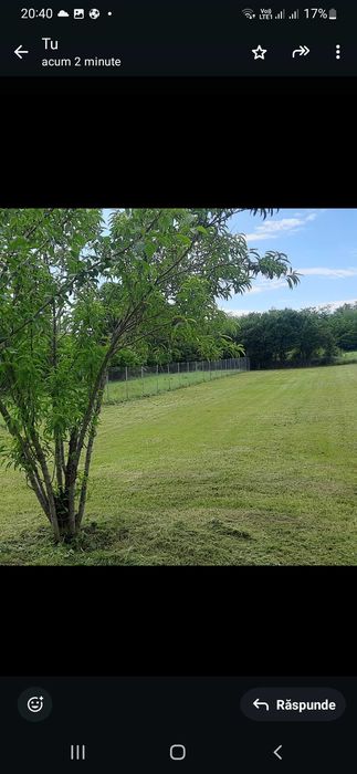 Teren intravilan in jud.Timis.