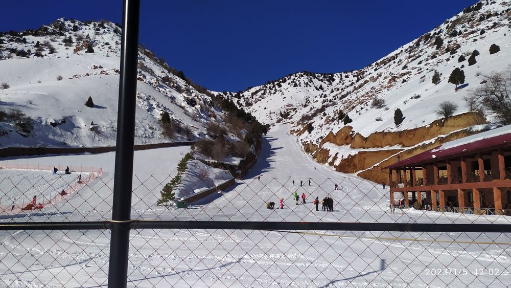 Ижарага уй оилага ва баксерларга. Янгиобод янгиабад федерация бокс