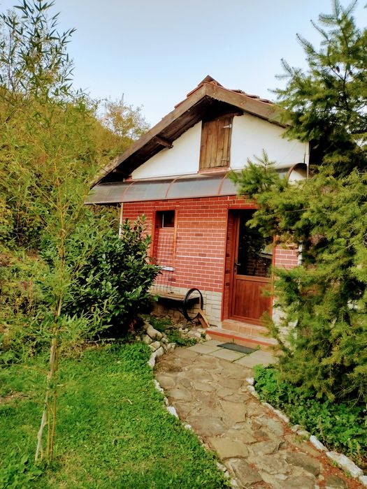 Дава се под наем Къща в с. Тученица, Област Плевен - 240 кв.м за 331.5 € - Снимка #2