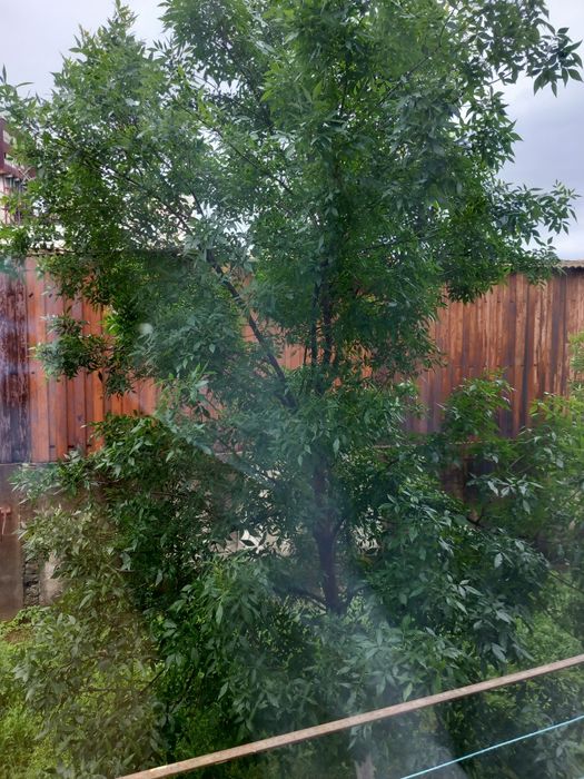 Garsonieră de vânzare