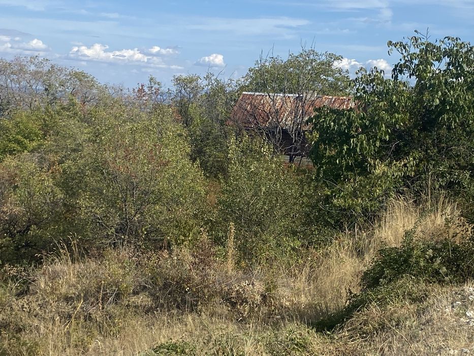 Продава се Земеделски имот в с. Брестник, Област Пловдив -  кв.м за 50 €/дка - Снимка #5