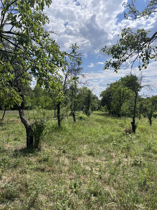 Casa, magazie, gradina, livada, 6079mp, Calinesti, jud. Arges