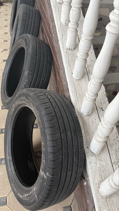 Balon radnoy treker1