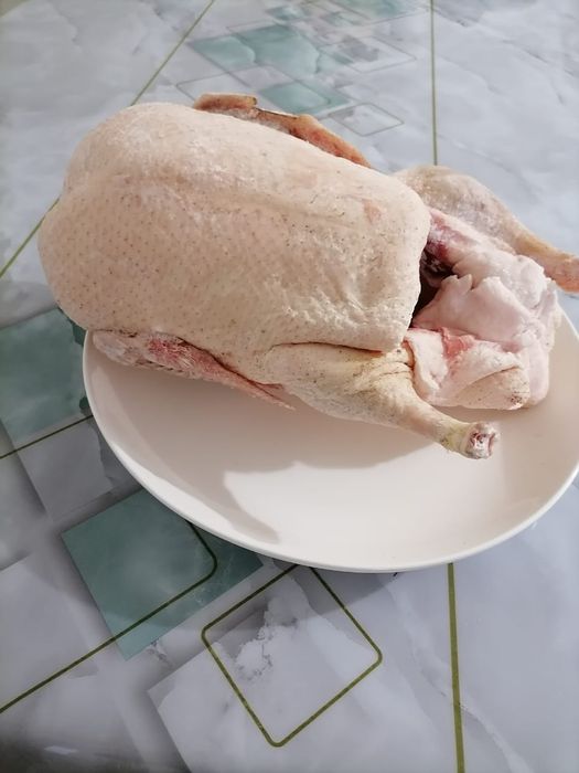 Продам домашних уток