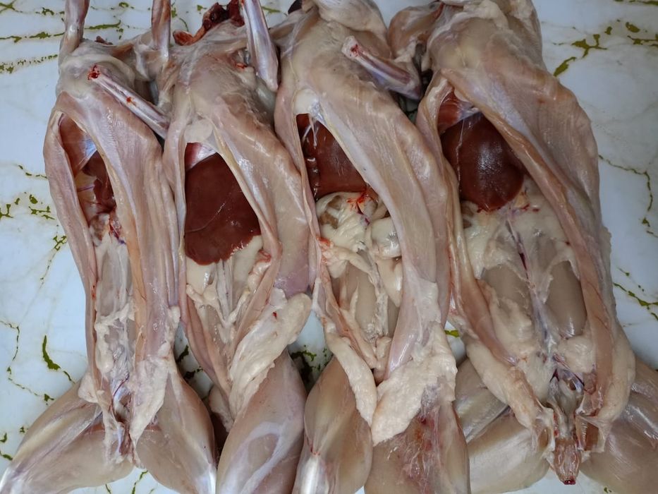 Продам мясо кролика