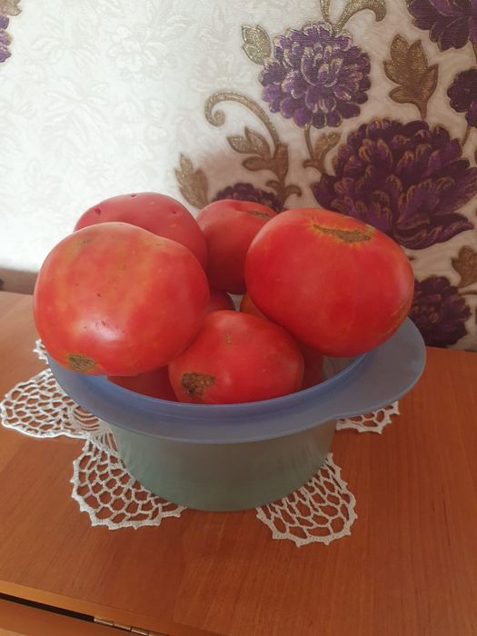 Продам дачу,,Тихая роща,,