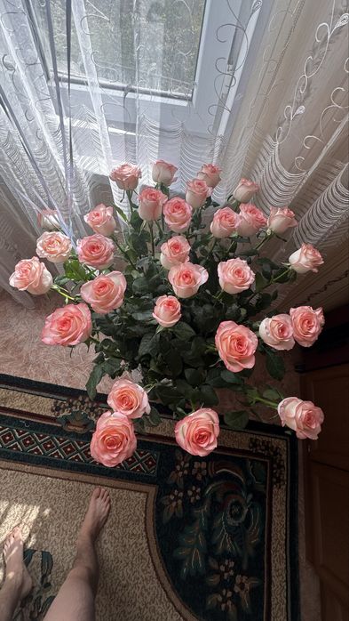 Розы , букеты срочно продажа