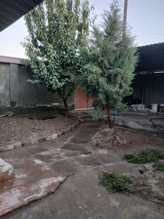 Дом 2 сотки 3 комнаты