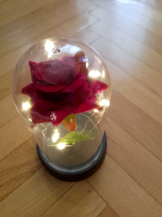 Вечна Роза в стъкленица