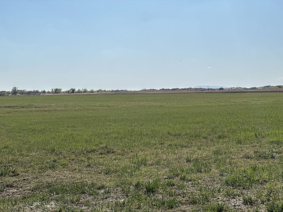 Земля сенокос пашня сено кх