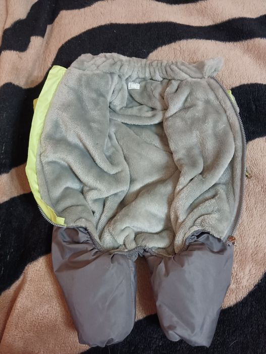 Одежда для собак