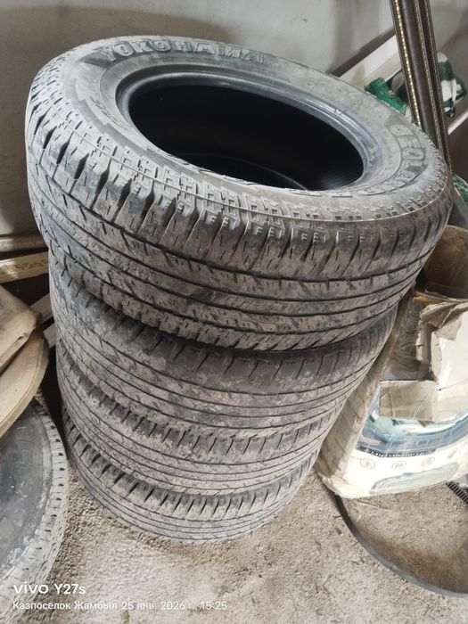 Жаздық дөңгелек бу