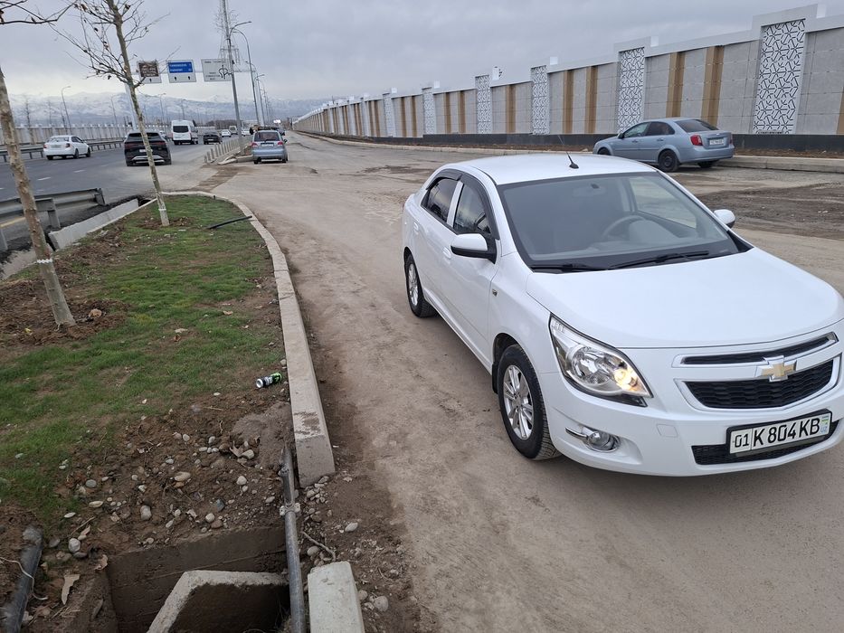 Coblt 2020 yil tozza prapan taqilgan