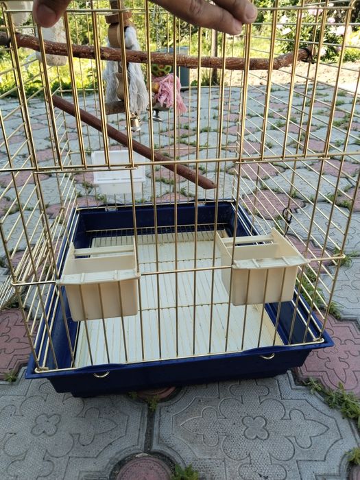 Клетка для попугаев